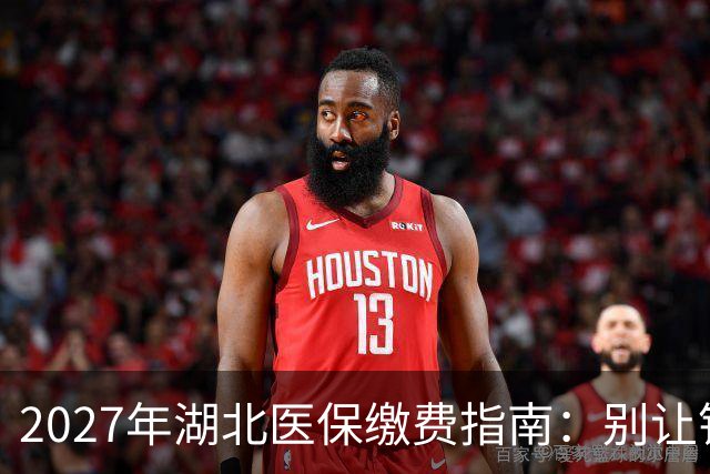 2027年湖北医保缴费指南：别让钱白花了！